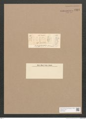 Diatomeae indet. Zeichnungen Sammlung Grunow Nr. 3334 (NHMW-BOT-W0370840)